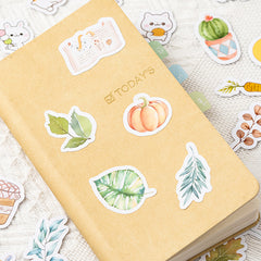 Kawaii Gift Giving Die Cut Stickers - Box of 45 Stickers,Stickers