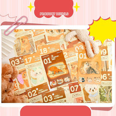 Mr. Paper 2026 Upgraded 365 Desk Calendar – Pet Theme Gift Box